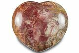 Polished Triassic Petrified Wood Heart - Madagascar #286172-1